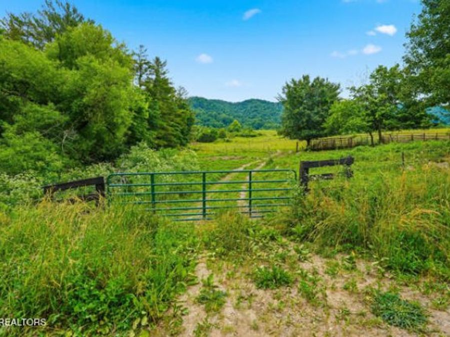 Property Image 36