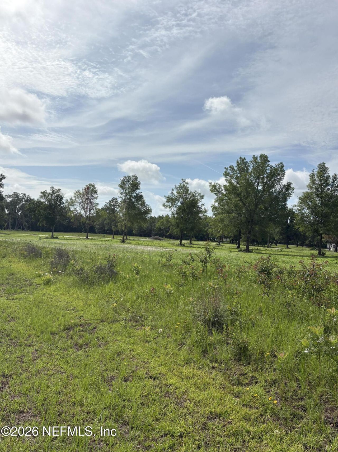 160th 160th Path, Wellborn, FL 32094 Photo