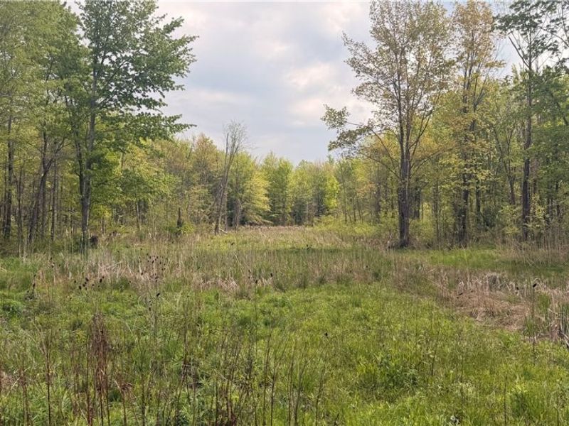 Munson Hill Road , Ashtabula, OH 44004 Photo 1