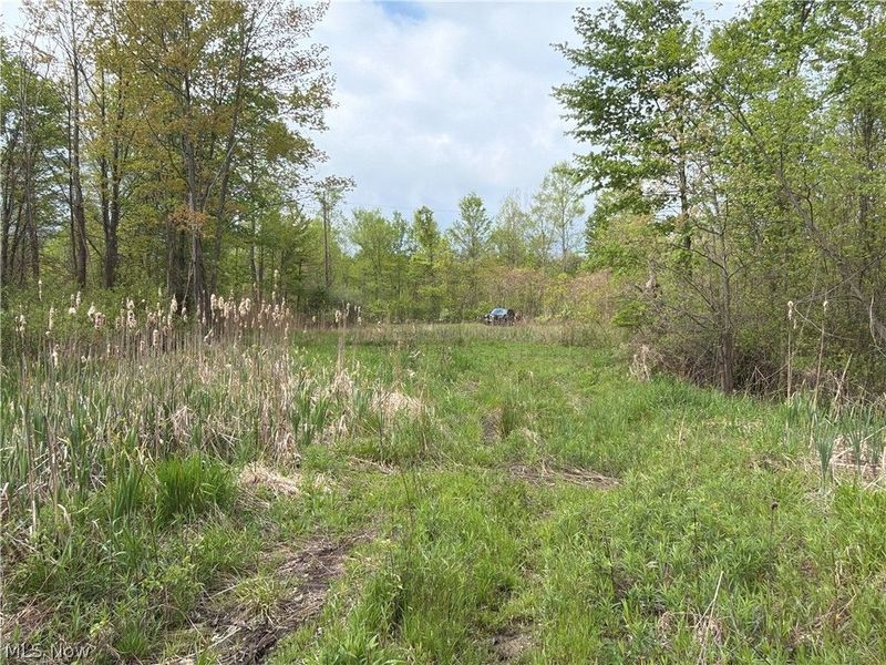 Munson Hill Road , Ashtabula, OH 44004 Photo 13