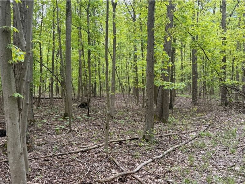 Munson Hill Road , Ashtabula, OH 44004 Photo 14