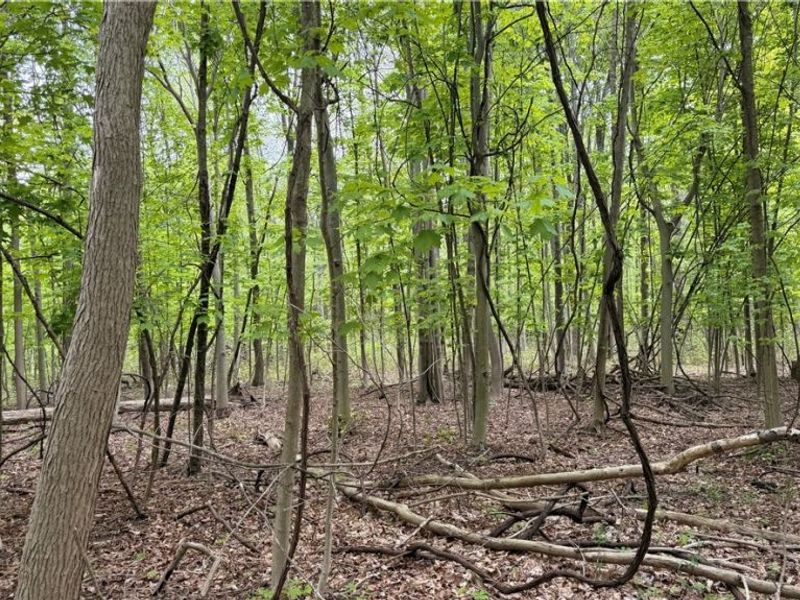 Munson Hill Road , Ashtabula, OH 44004 Photo 15
