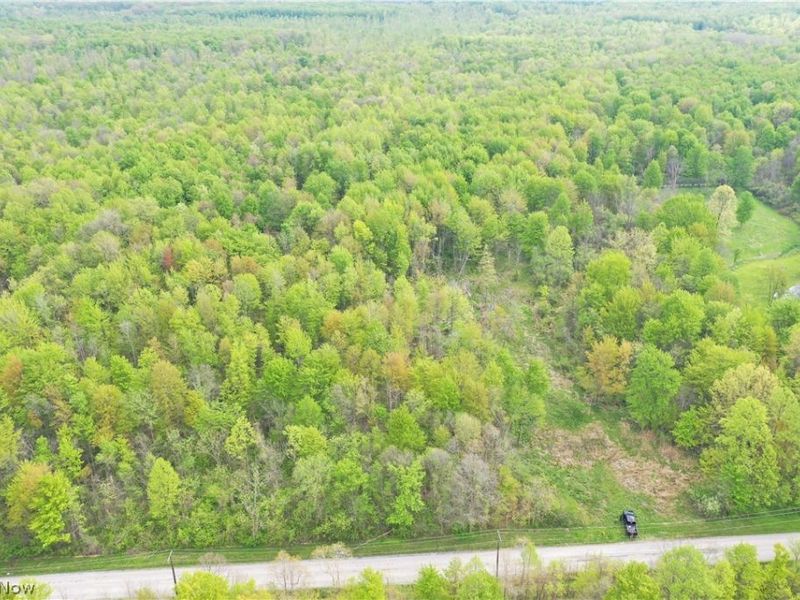 Munson Hill Road , Ashtabula, OH 44004 Photo 19