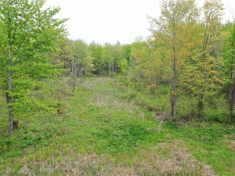 Munson Hill Road , Ashtabula, OH 44004 Photo 21