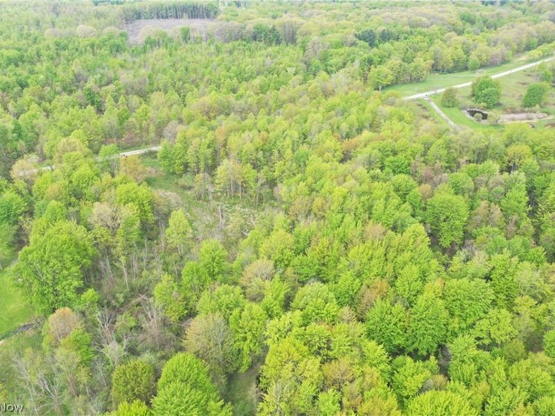 Munson Hill Road , Ashtabula, OH 44004 Photo 22