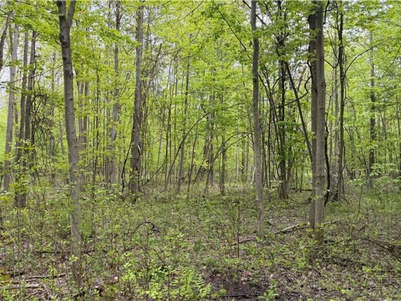 Munson Hill Road , Ashtabula, OH 44004 Photo 3