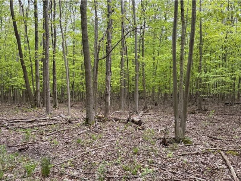 Munson Hill Road , Ashtabula, OH 44004 Photo 6