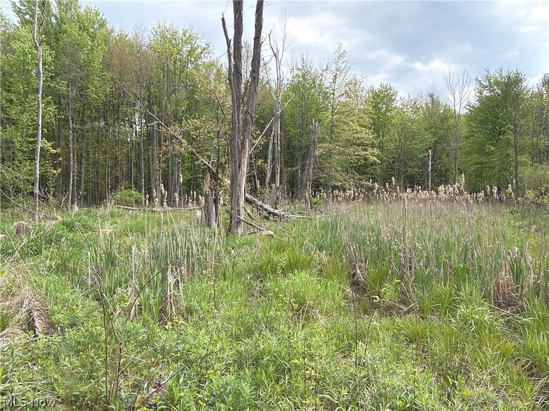 Munson Hill Road , Ashtabula, OH 44004 Photo 8