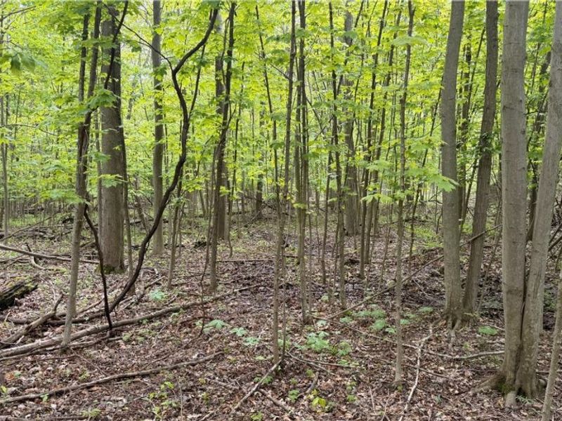 Munson Hill Road , Ashtabula, OH 44004 Photo 1
