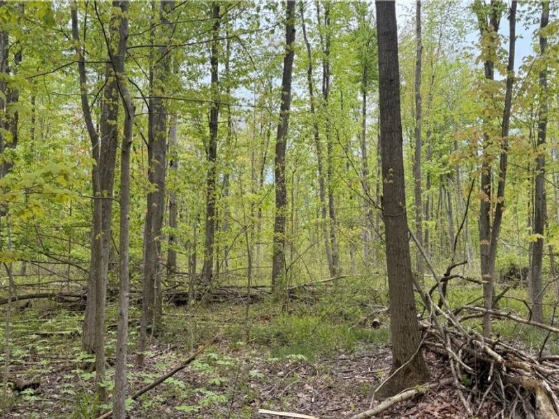 Munson Hill Road , Ashtabula, OH 44004 Photo 10