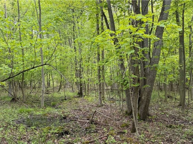 Munson Hill Road , Ashtabula, OH 44004 Photo 11
