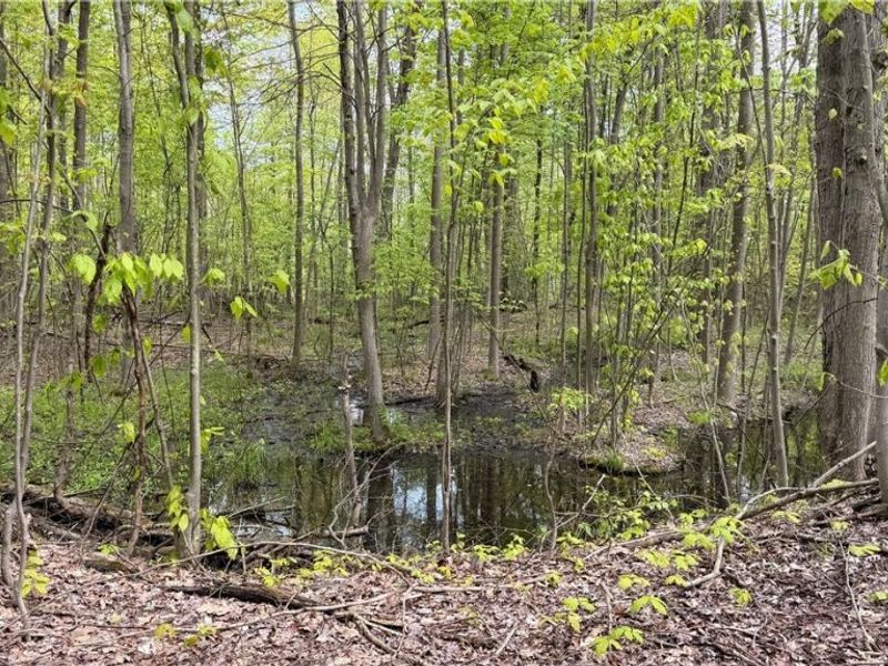 Munson Hill Road , Ashtabula, OH 44004 Photo 2
