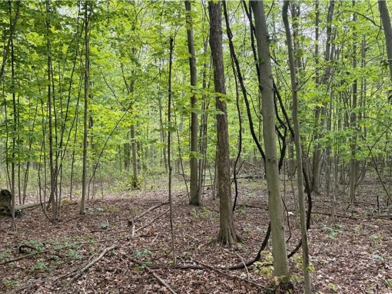 Munson Hill Road , Ashtabula, OH 44004 Photo 20