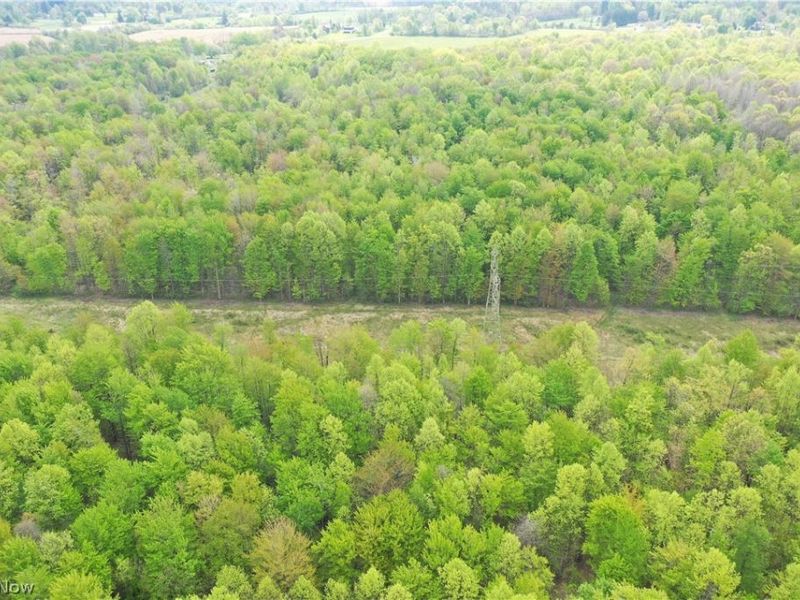 Munson Hill Road , Ashtabula, OH 44004 Photo 22