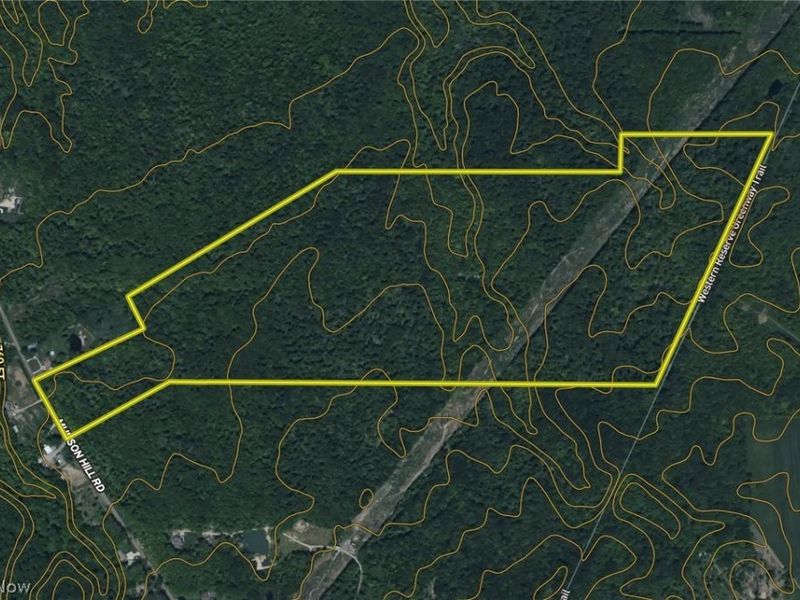 Munson Hill Road , Ashtabula, OH 44004 Photo 25