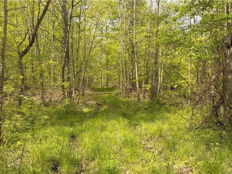 Munson Hill Road , Ashtabula, OH 44004 Photo 6