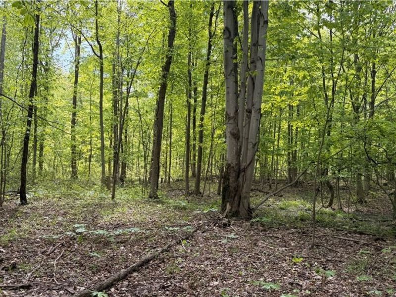 Munson Hill Road , Ashtabula, OH 44004 Photo 9
