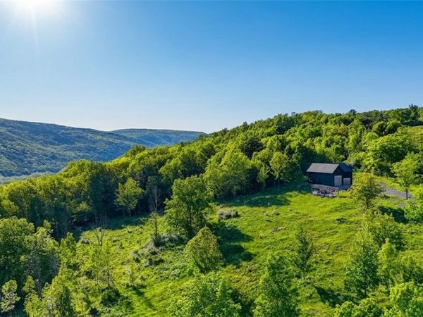 10.10 Cheese Hill Road, Rensselaerville, NY 12147
