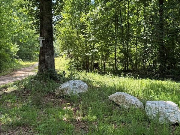 20 ac Ellijay Road , Talking Rock, GA 30175