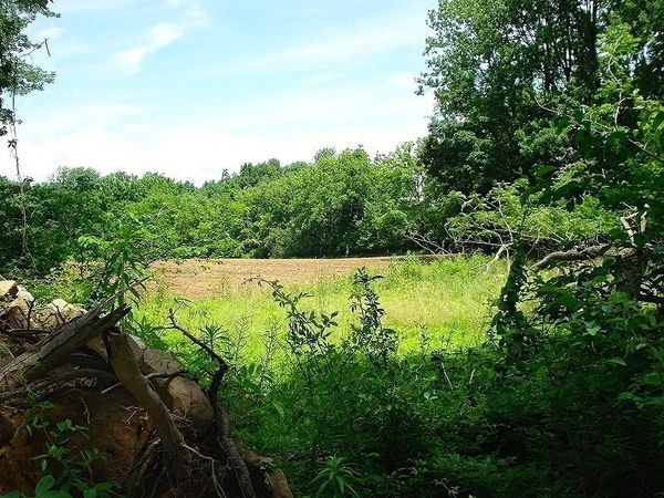 0 Mellicks Woods Rd, Pohatcong, NJ 08804