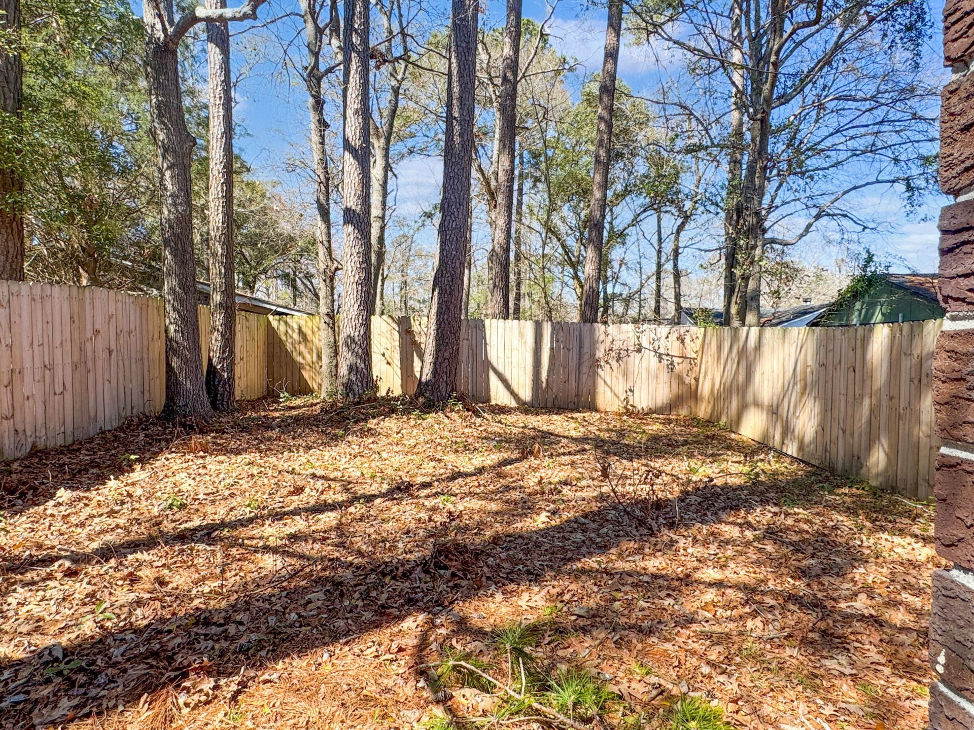 216 Parlor Drive Photo 17
