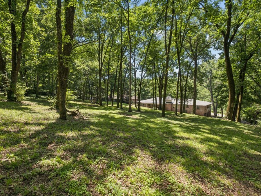 Property Image 51