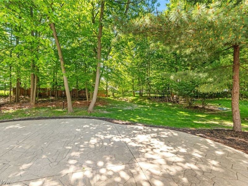 1179 Vineyard Drive, Medina, OH 44256 Photo 28