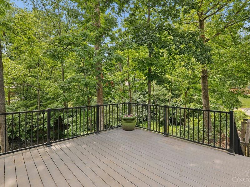 8383 Ellenwoods Drive, Symmes Township, OH 45249 Photo 75