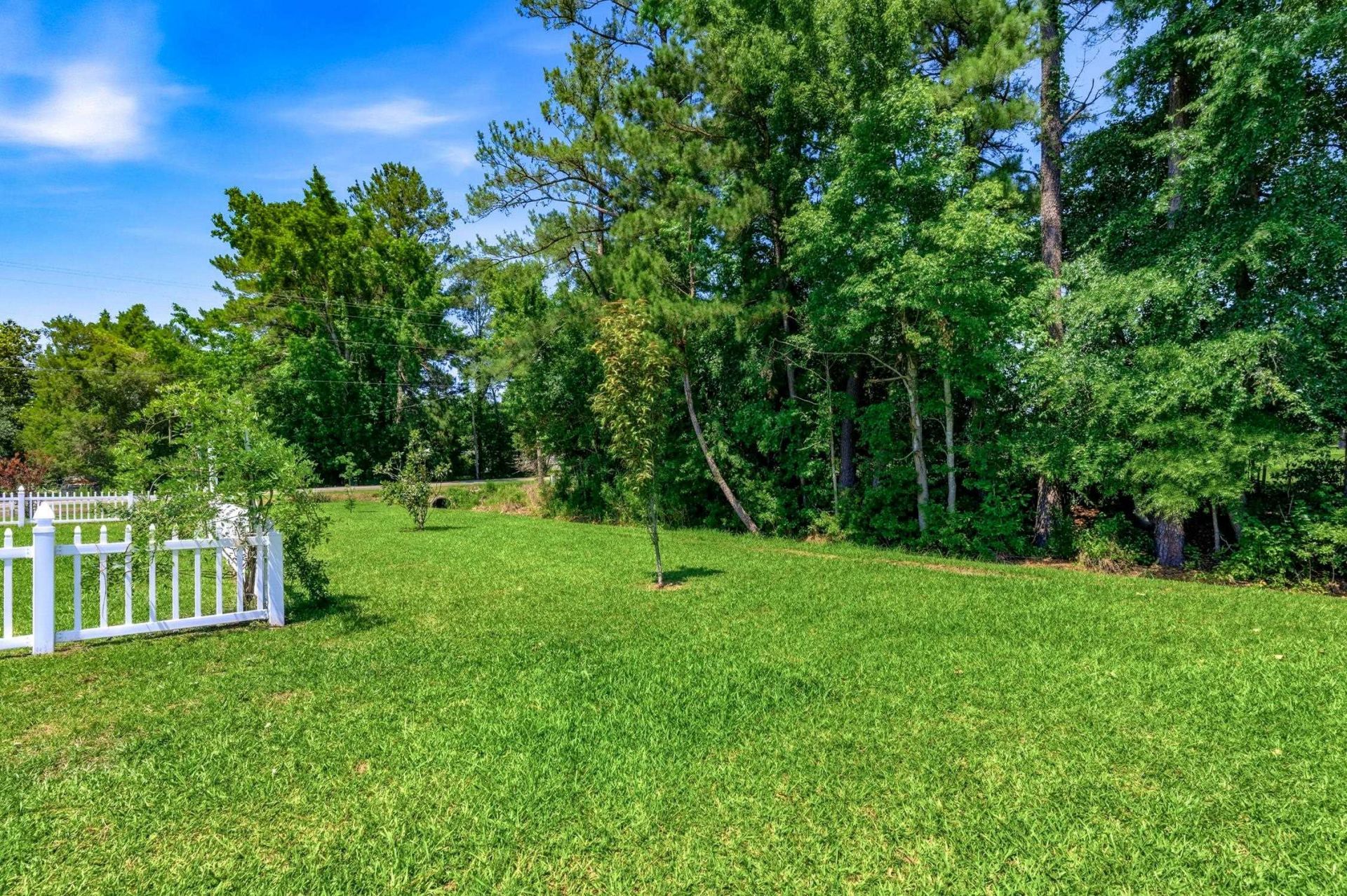 101 Oakey Estates Dr. Photo 11