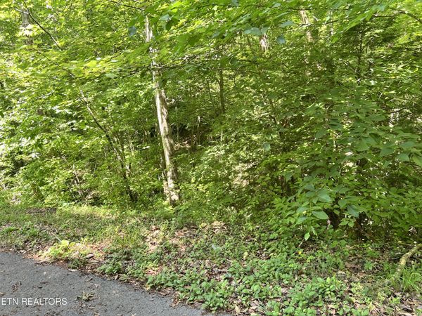 Fir Drive, Sevierville, TN 37876