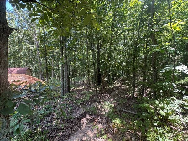 Lot 59 Posy Mountain Drive , Garfield, AR 72732