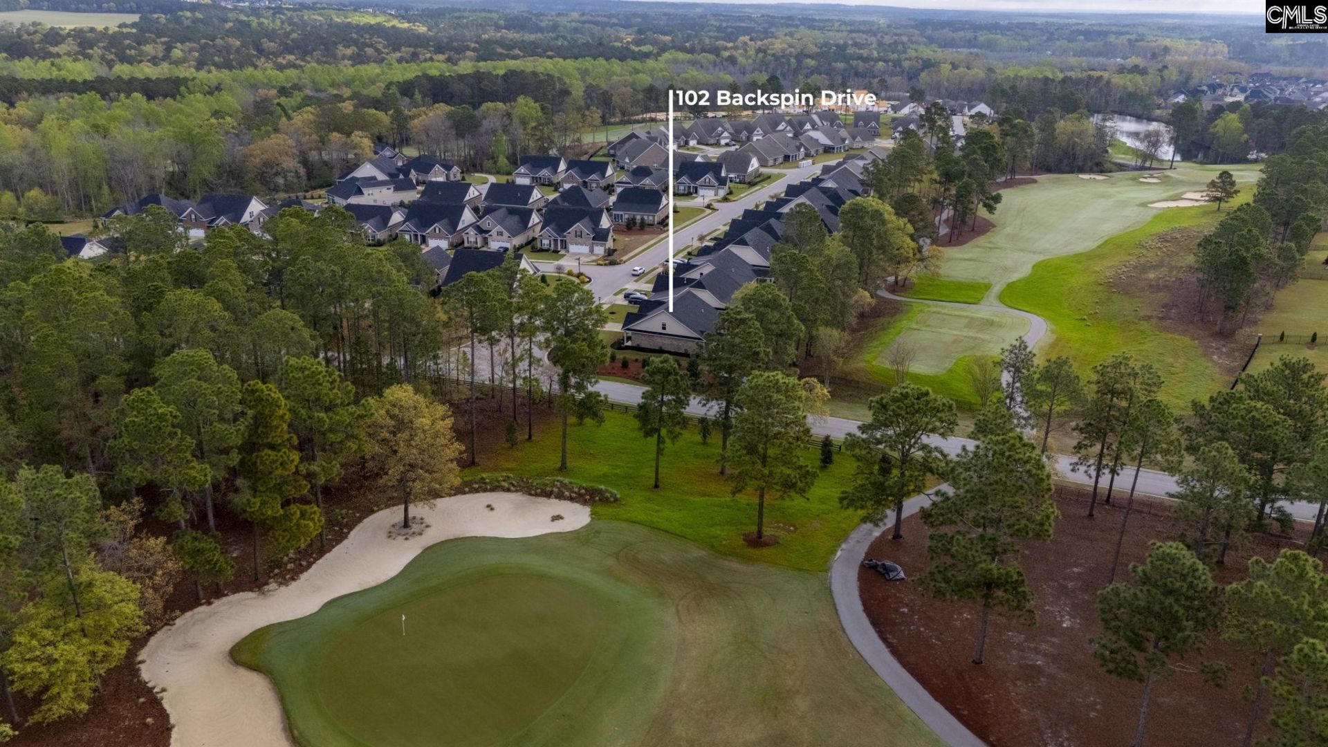 102 Backspin Drive  Photo 44