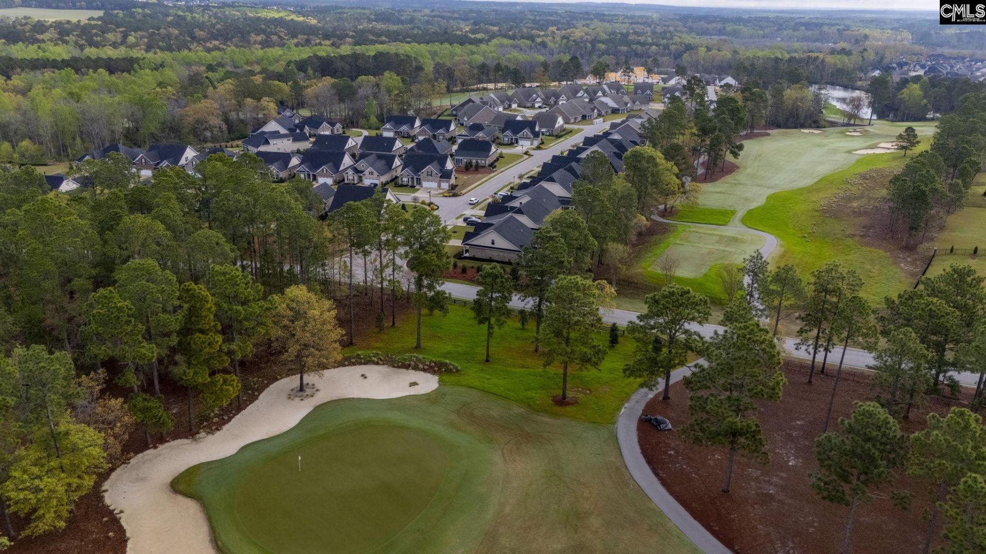 102 Backspin Drive  Photo 45
