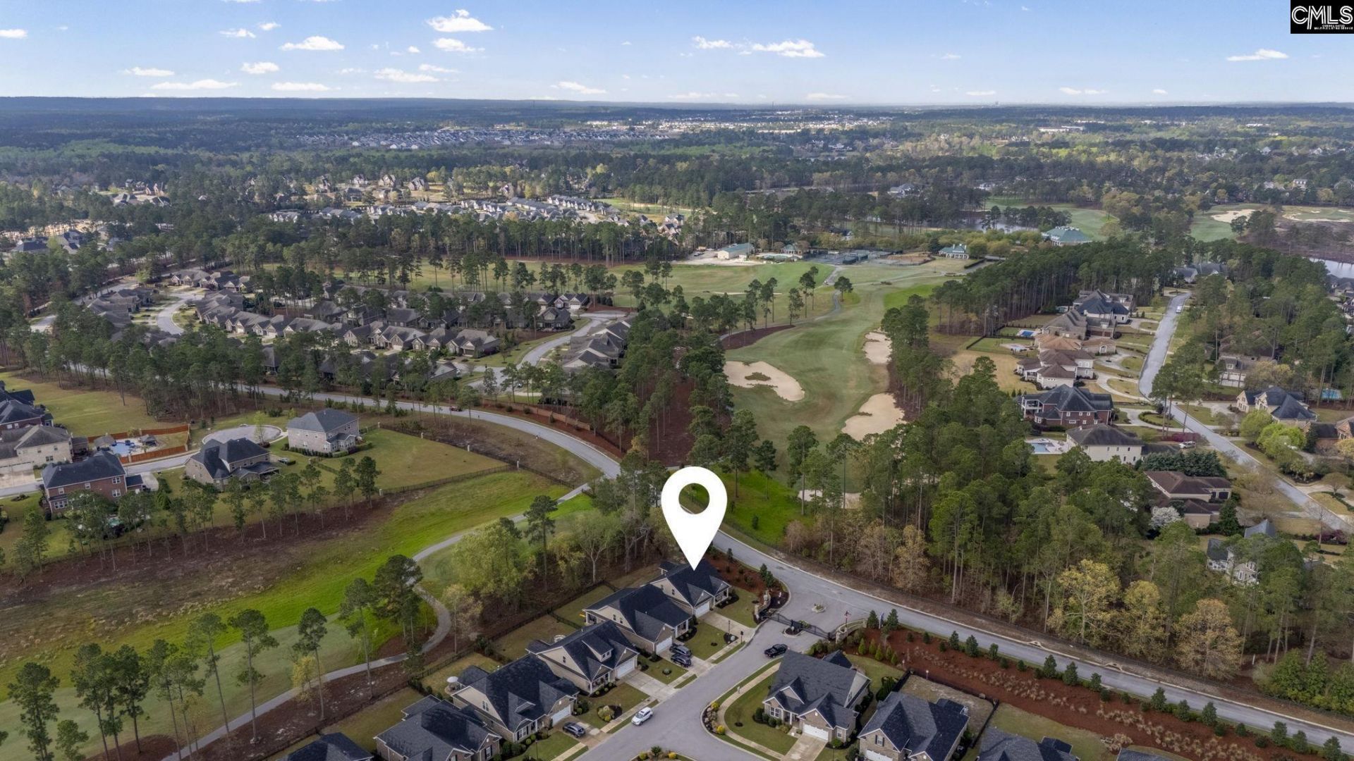 102 Backspin Drive  Photo 46