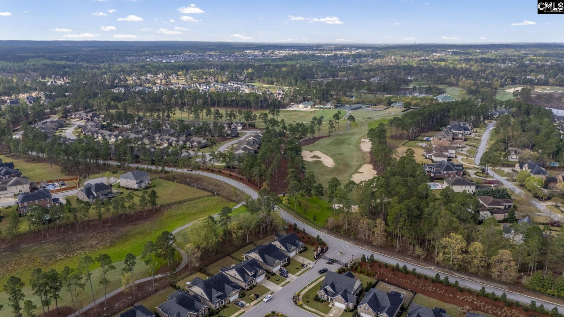 102 Backspin Drive  Photo 47