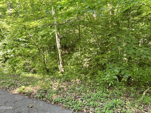 Lot 110 Fir Drive, Sevierville, TN 37876