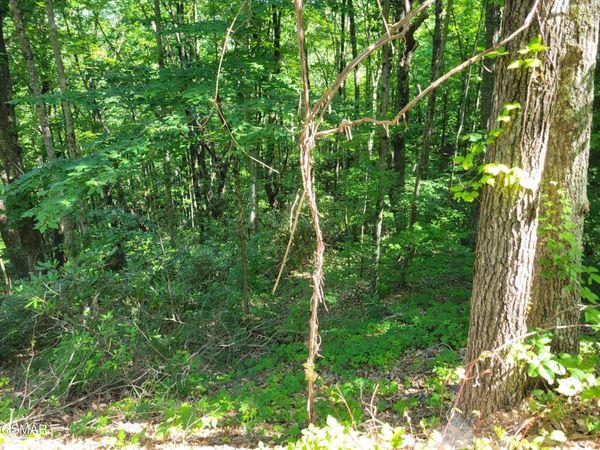Lot 20 Sunset Drive, Sevierville, TN 37876