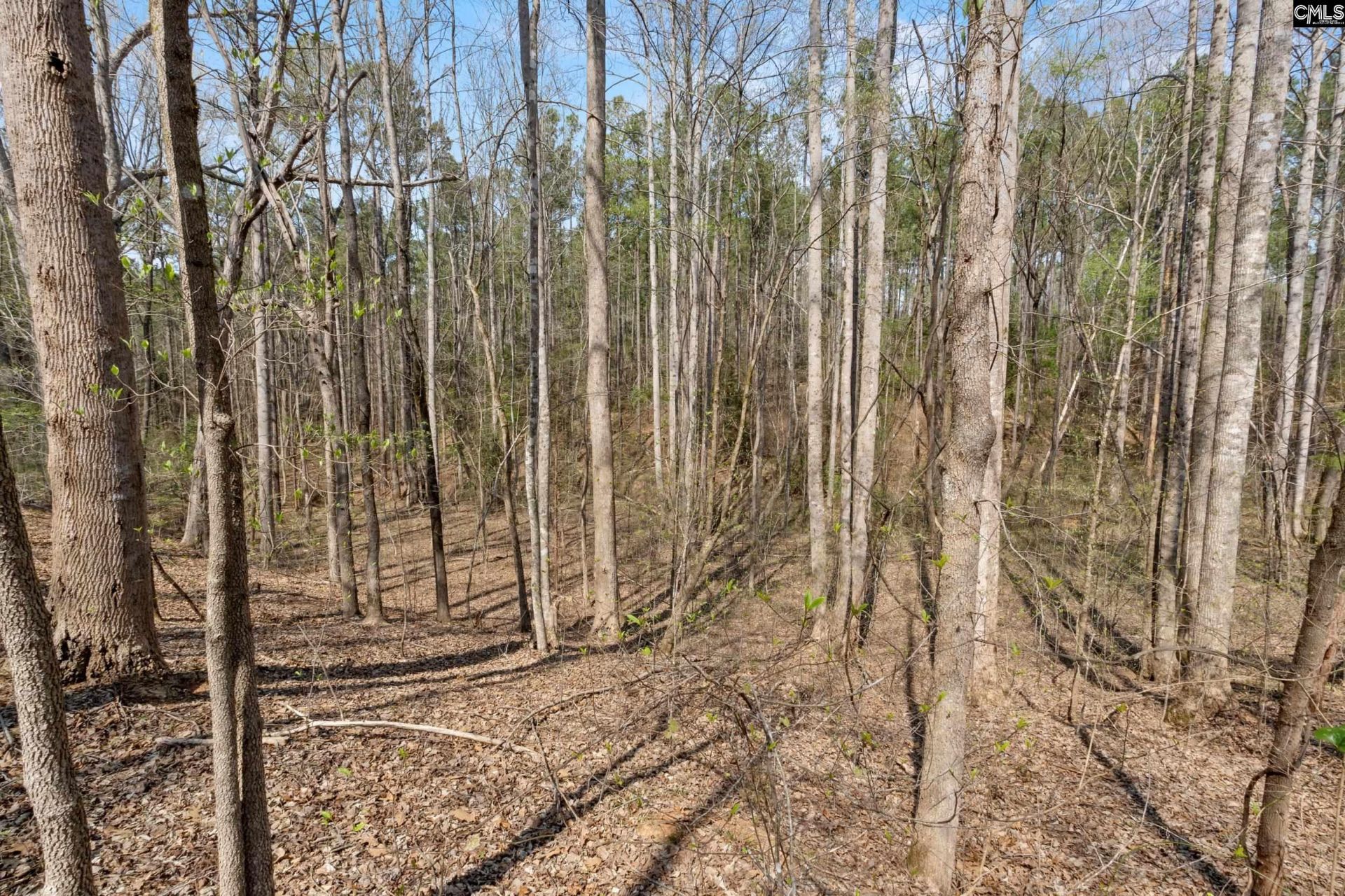 1778 White Road  Photo 51