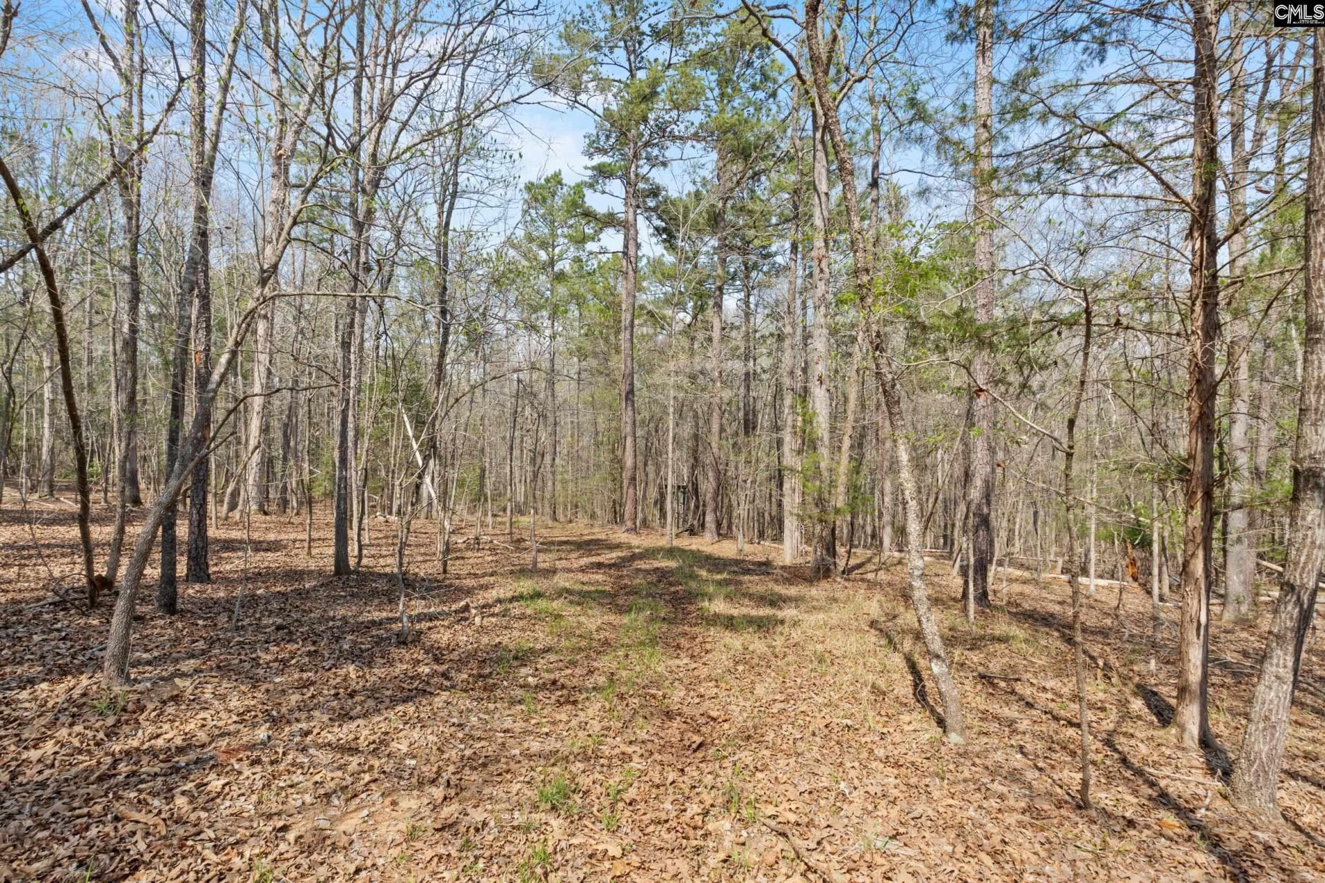 1778 White Road  Photo 53