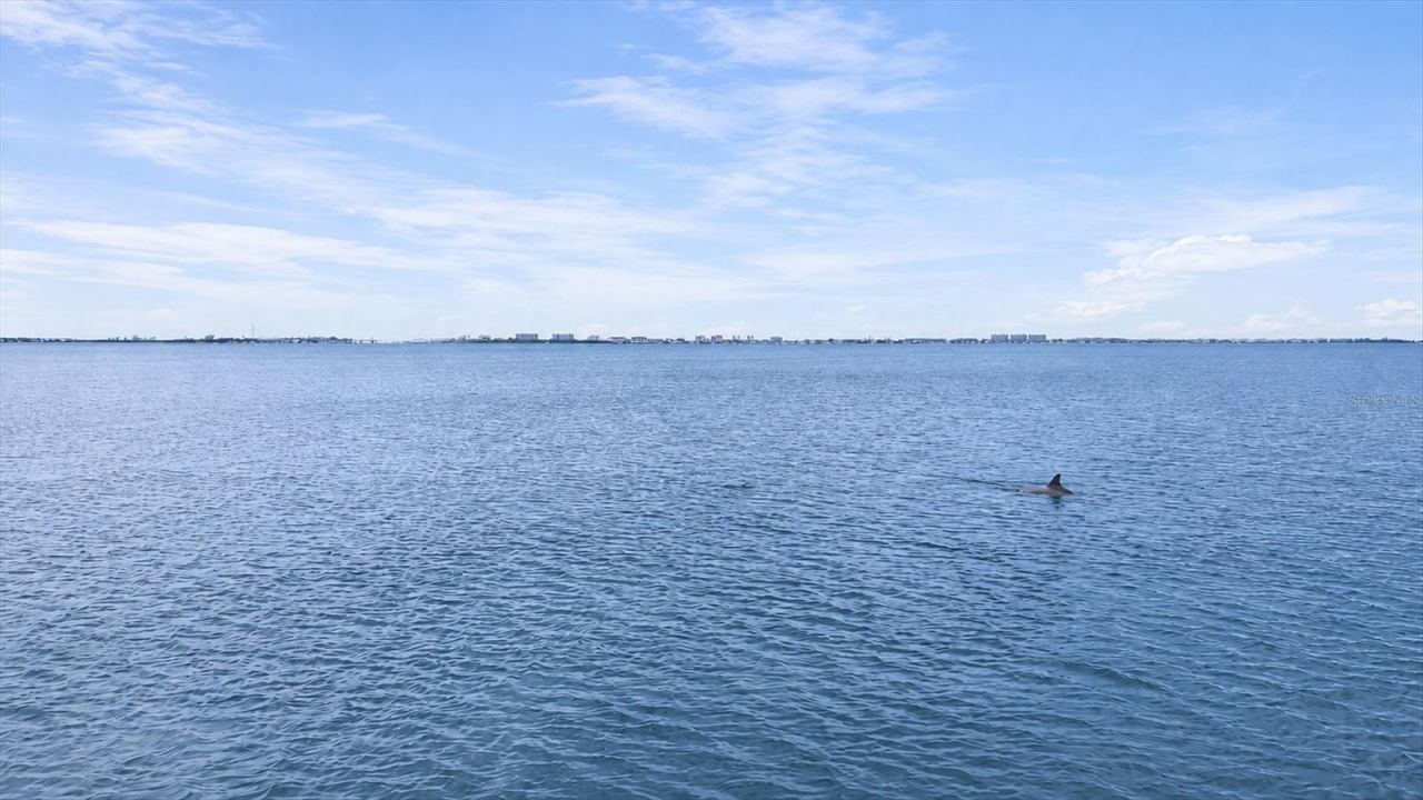1020 23rd Street , Sarasota, FL 34234 Photo
