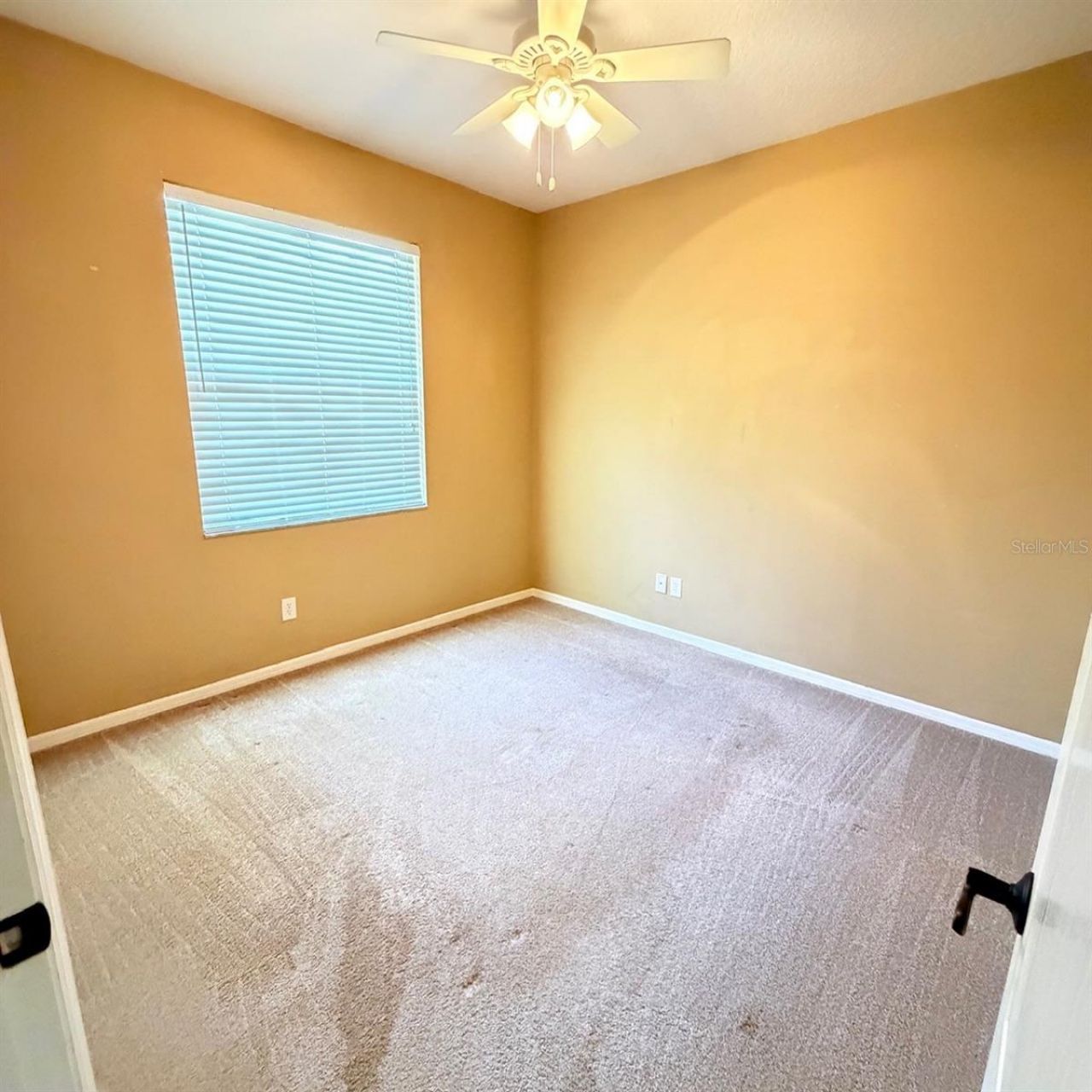 561 Strathclyde Court , Apopka, FL 32712 Photo