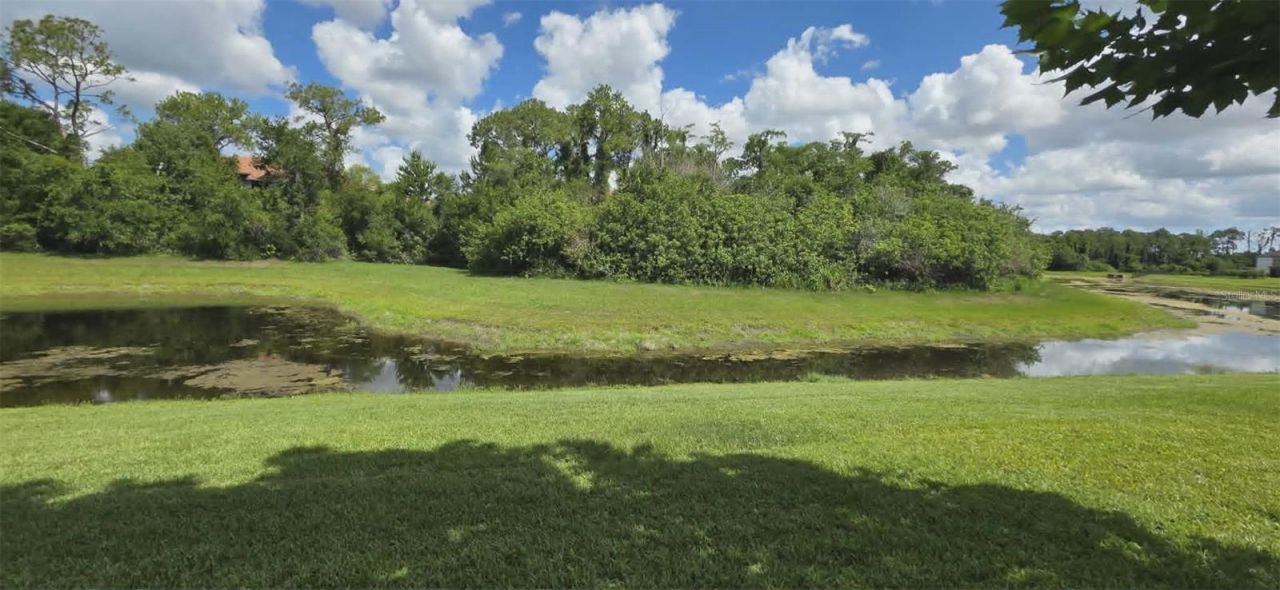 5177 Dove Tree Street, Orlando, FL 32811 Photo