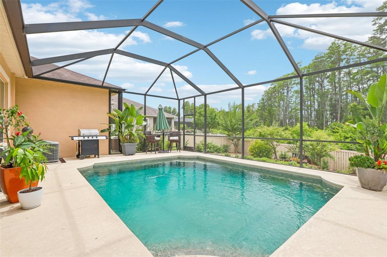 20932 Amanda Oak Court, Land O Lakes, FL 34638 Main Photo