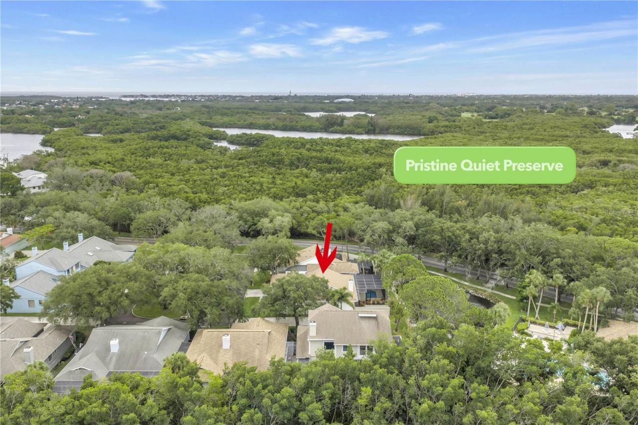767 Caya Costa Court Ne, Saint Petersburg, FL 33702 Photo