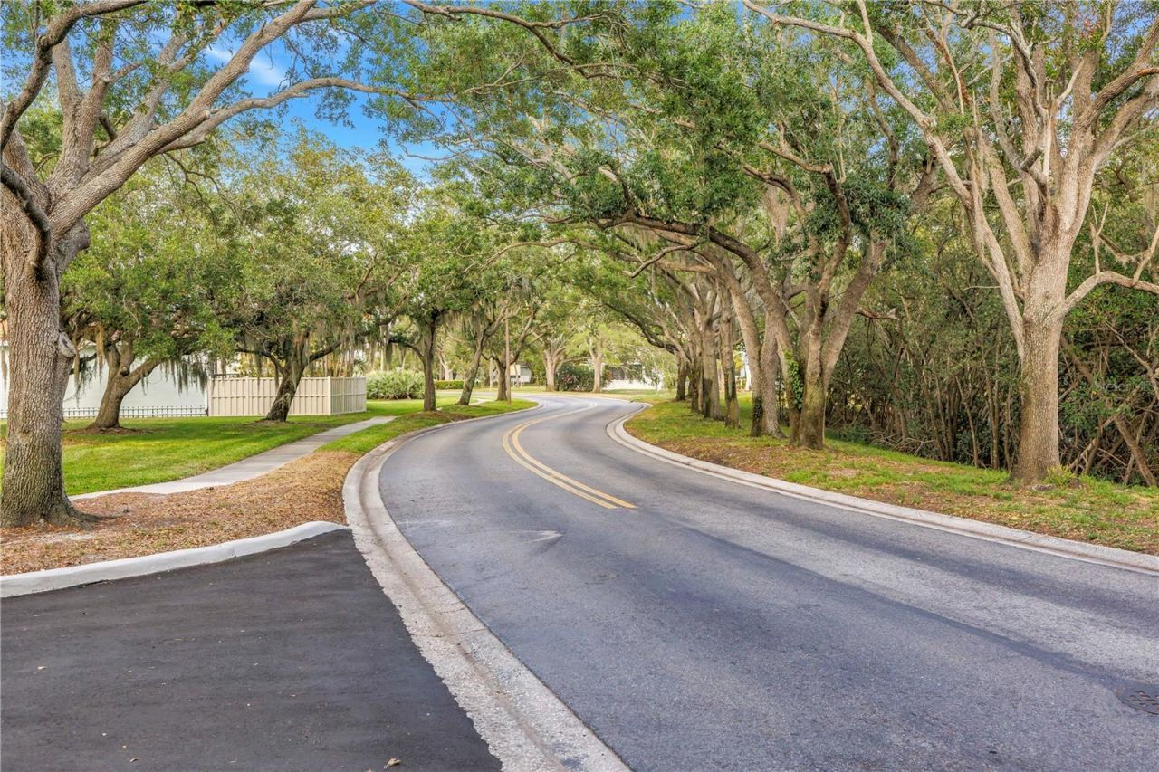 767 Caya Costa Court Ne, Saint Petersburg, FL 33702 Photo