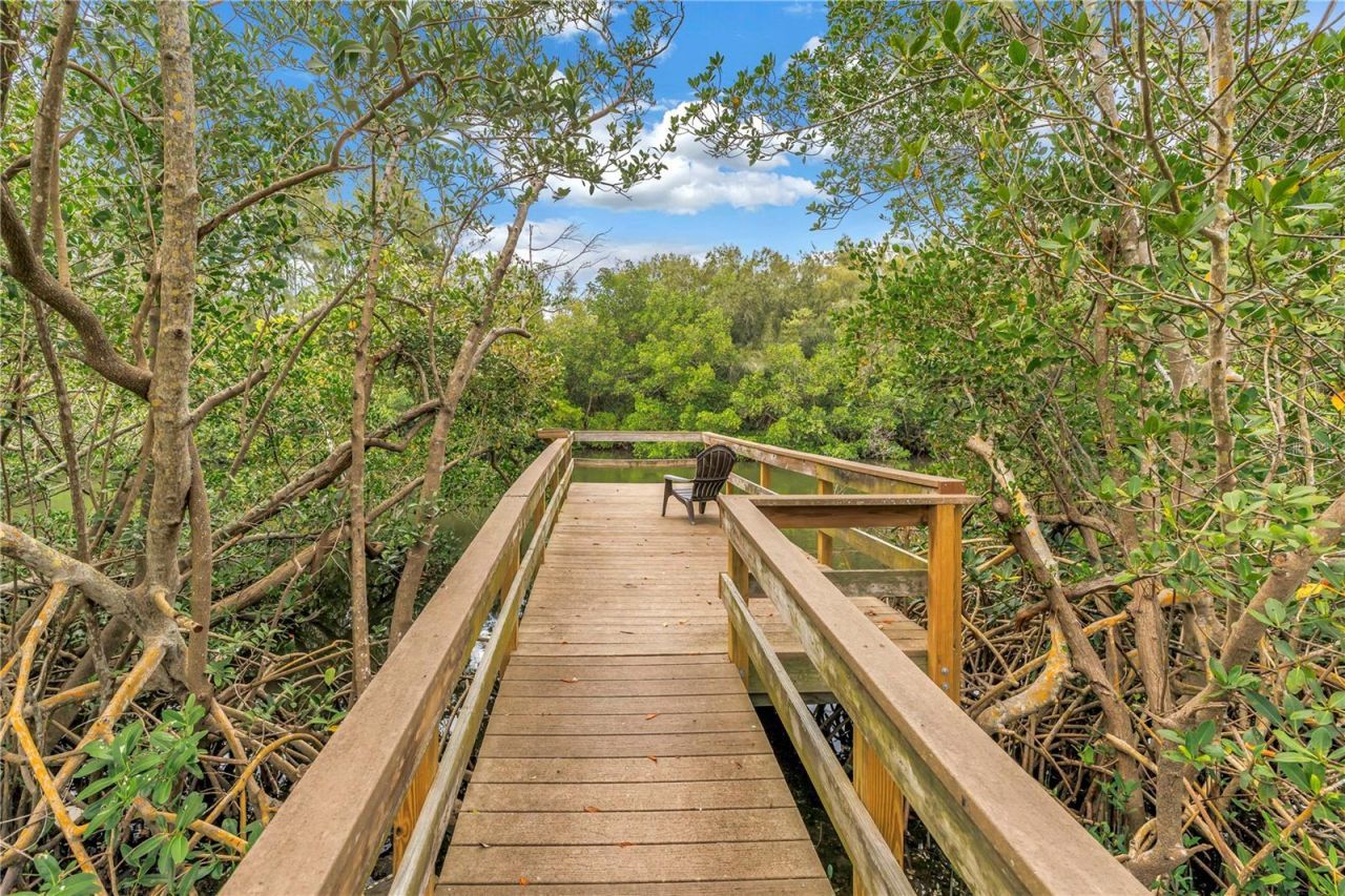 767 Caya Costa Court Ne, Saint Petersburg, FL 33702 Photo