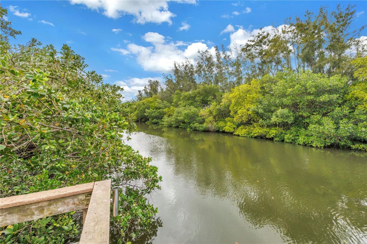 767 Caya Costa Court Ne, Saint Petersburg, FL 33702 Photo