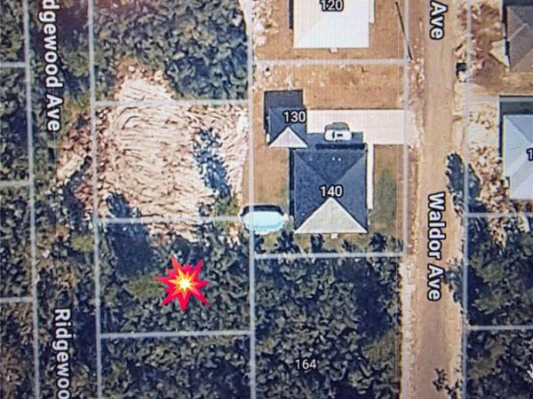 RIDGEWOOD AVENUE , ORANGE CITY, FL 32763