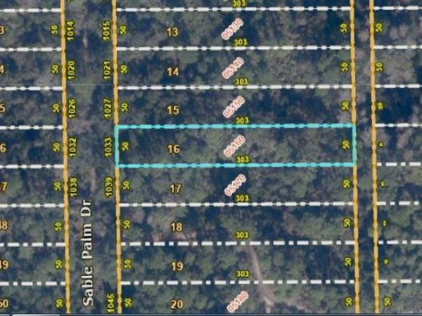 1033 SABLE PALM DRIVE , CHRISTMAS, FL 32709