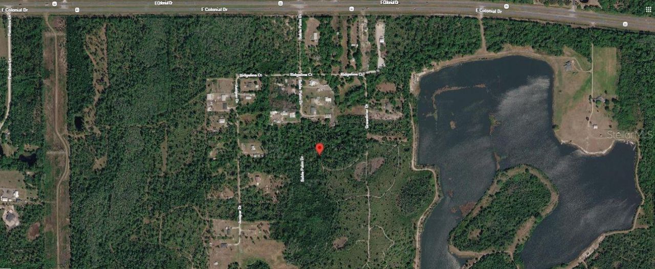 1039 Sable Palm Drive, Christmas, FL 32709 Photo
